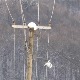 Цена струје на берзама скочила за 25 одсто, упркос леденим данима енергетска ситуација у земљи стабилна
