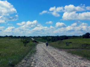 Пут у будућност: Недеља, 7-12