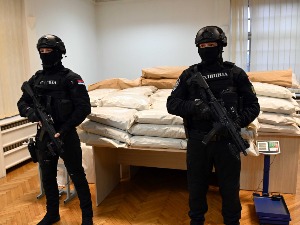 Заплењено 300 килограма марихуане код Великог Трновца, петоро ухапшених