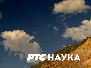 Животна средина и здравље:  Кретањем до здравља