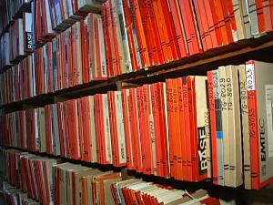 Из архиве Радио Београда – Наташа Вељковић