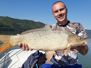 Лов и риболов