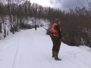 Лов на дивље свиње у рудничко-таковском крају