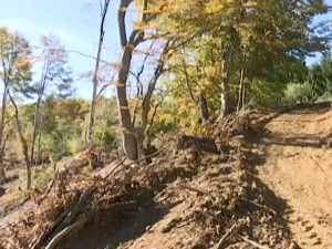 Шумокрадице на административној линији са КиМ направиле стогодишњу еколошку штету