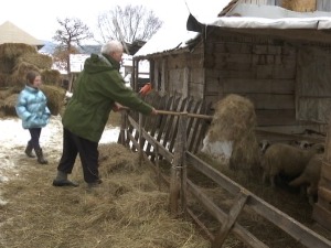 Ристићи своју имовину у Подујеву гледају са оближњег брда, кажу да ће се за повраћај борити и унуци