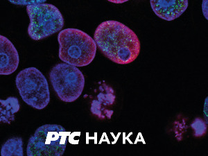 Моја драга пријатељица наука 	  Са Горданом Вуњак Новаковић, 5. епизода 