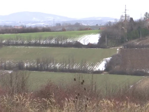 Београдски атар – колико престоничке оранице доприносе пољопривреди Србије