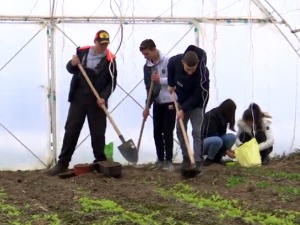 Учионице без зидова у београдском предграђу, у дигиталном добу све више ученичких задруга