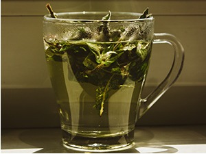 Зелени чај је ризница здравља којом ваља започети дан