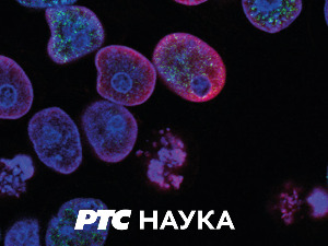 Разоткривање:  Билошки рат – борба са супербубама