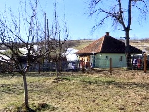 Kатегоризација сеоских домаћинстава у Лелићу код Ваљева