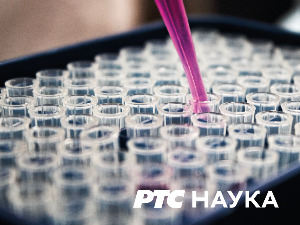 Моја драга пријатељица наука: 	 Улога физике