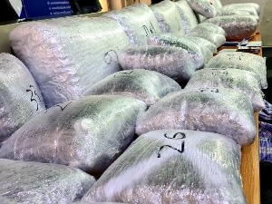 Код Подујева заплењено преко 90 килограма марихуане, ухапшена једна особа