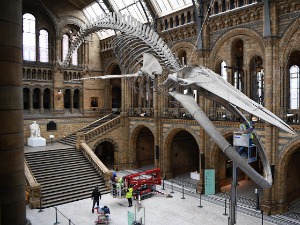 И диносауруси су пре 150 милиона година кашљали, кијали и имали грозницу