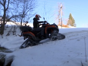 Квадови угрожавају Тару – бука несносна, камење лети