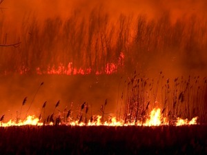 Угашен пожар у Футогу