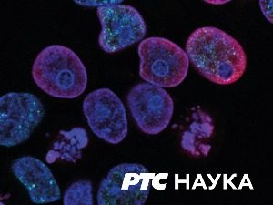 Кућа науке:	 Фармацеутски факултет