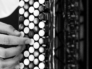 Век хармонике – Албум “Облици чежње” Ханса Мајера