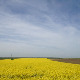 	Фолдер Србија: Змај 