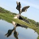 Jaсeнoвaц у крилу свјетске историографијe: Култура сјећања насупрот плитком политикантству Jaсeнoвaц у крилу свјетске историографијe: Култура сјећања насупрот плитком политикантству