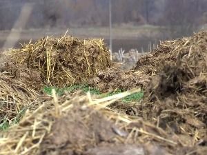 Како земљишту одржавати плодност – да природи вратимо оно што смо јој узели