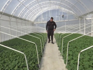  Почела пластеничка производња расада у лесковачком крају