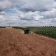 Рат и економија – поред возача из Србије, озбиљан проблем имају и пољопривредници