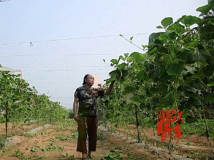 Очаравајући Пекинг