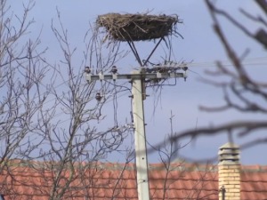 Зашто је Средњи Банат најмање насељен у Војводини?  