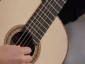 Шон Шибе, гитара