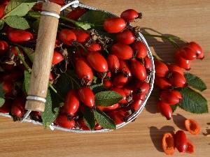 Против флека и бора, али и за јачи имунитет – шта нисте знали о уљу шипка 