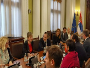 Делегација СЕ о посети Србији: Изборна кампања слободна, без ограничења Делегација СЕ о посети Србији: Изборна кампања слободна, без ограничења