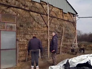 Ни плата од 1.000 евра не мотивише младе да посао потраже на фарми