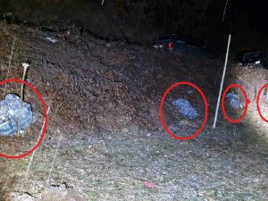 Пронађене торбе са 42 килограма марихуане поред пута 