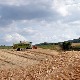 Почела исплата субвенција - 8.000 динара по хектару