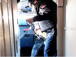 Лажна дојава о бомби у авиону "Ер Србије"