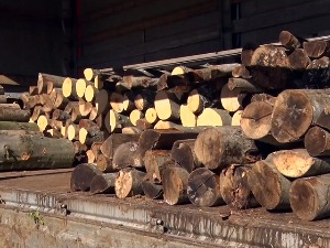 Припреме за грејну сезону ове године почињу раније – пелета ће бити, али питање је по којим ценама
