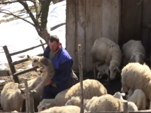 Зашто се Ђорђе Матовић вратио на дедовину подно Златара