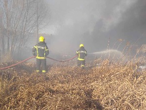 Локализован пожар у Суботици, горела трска и ниско растиње