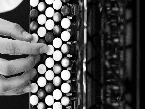 Анатомија хармонике – сећање на Моунса Елегора