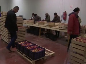 Колико рат у Украјини утиче на српску привреду?