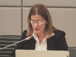 Амбасадорка Нинчић: Србија привржена миру, стабилности и очувању територијалног интегритета