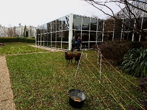 Градски хероји, 5. емисија