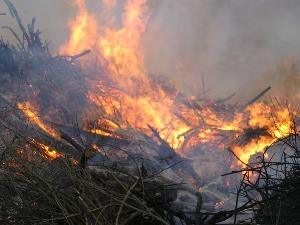 Апел грађанима да не пале траву и ниско растиње