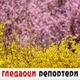 Гледаоци репортери (29. март 2022)