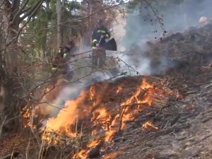 Колика је штета после учесталих пожара на отвореном широм Пиротског округа
