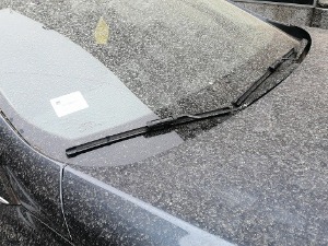 Црвене кише нам опет стижу, како настају и да ли су опасне