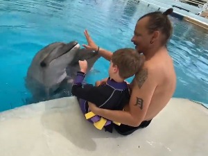 Колико делфини помажу у лечењу деце са сметњама у развоју