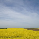 	Фолдер Србија: Јабука 