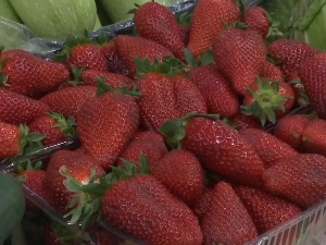 Повећава се број пољопривредника у Шумадији који узгајају јагоде